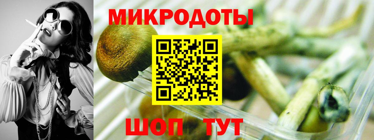 Псилоцибиновые грибы Magic Shrooms  Вход с VPN  Томск  Галлюциногенные грибы Psilocybine cubensis 